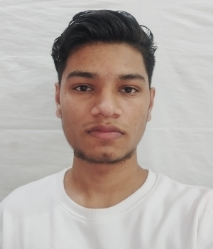 Hitesh Pant